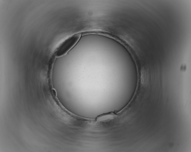 X0000111351452200907241147