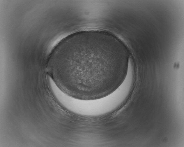 X0000111351453200907241147