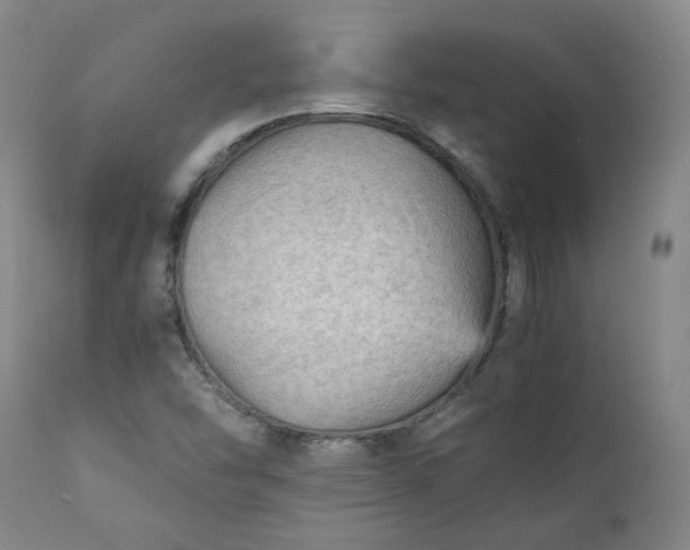 X0000111351454200907241147