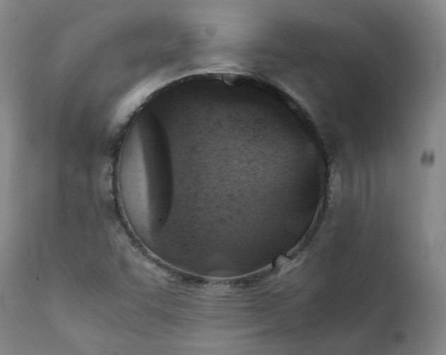 X0000111351455200907241147