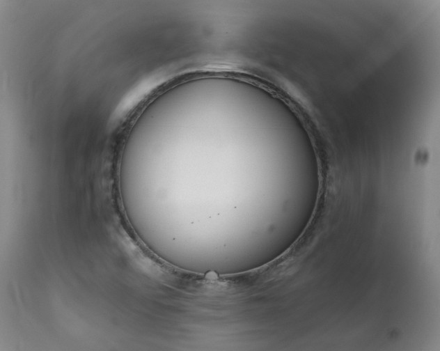 X0000111351456200907241147