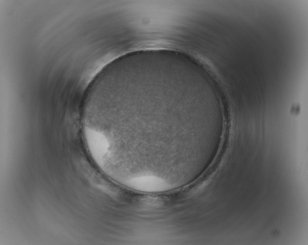 X0000111351457200907241147