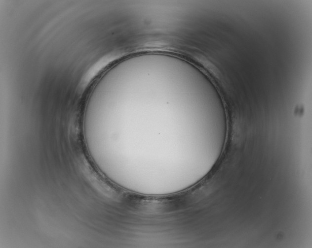 X0000111351458200907241147