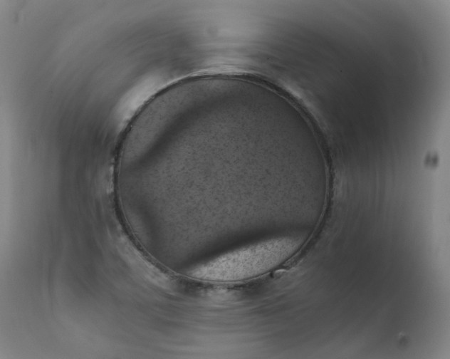 X0000111351459200907241147