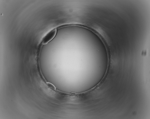 X0000111351460200907241147