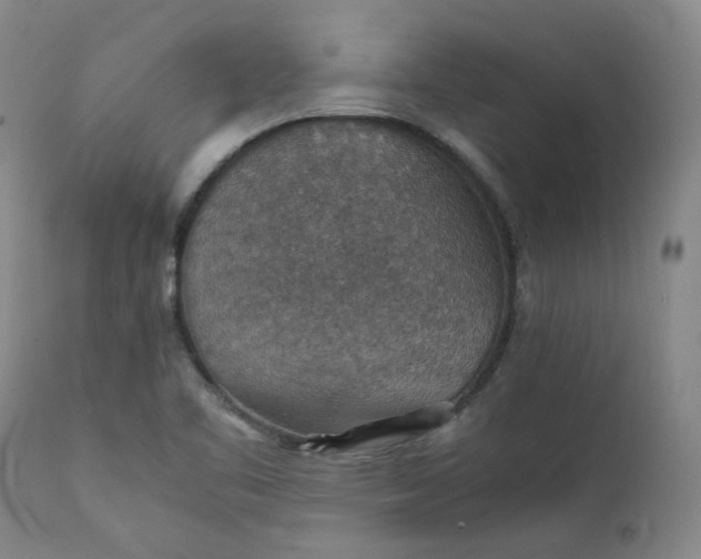 X0000111351461200907241147