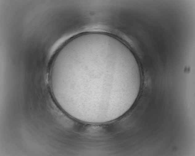 X0000111351462200907241147