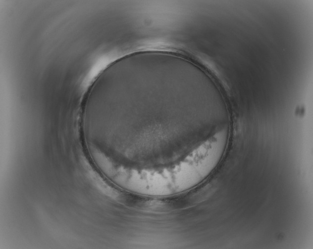 X0000111351463200907241147