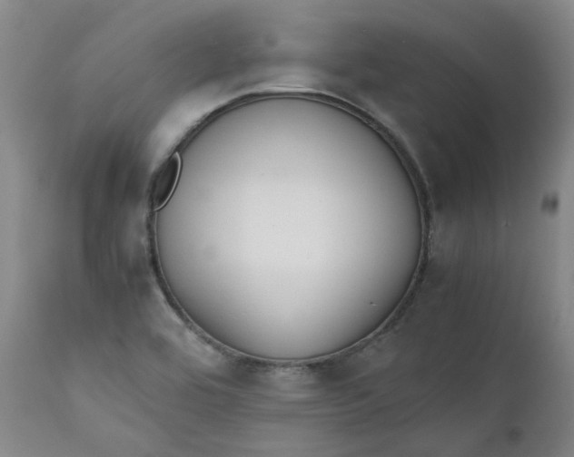 X0000111351464200907241147