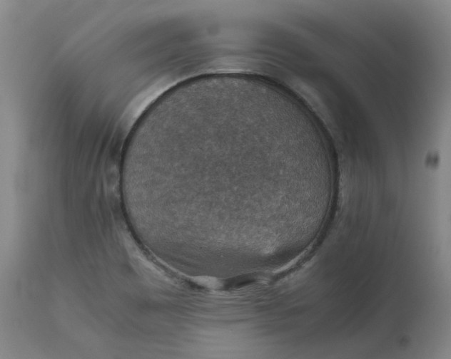 X0000111351465200907241147