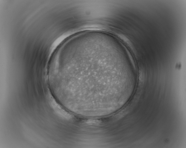 X0000111351466200907241147