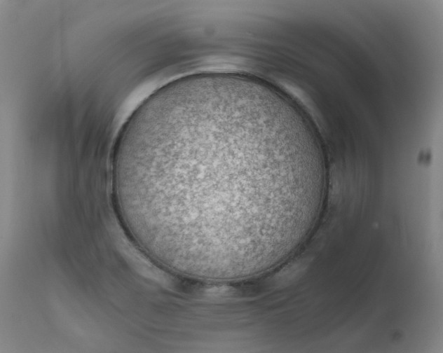 X0000111351467200907241147