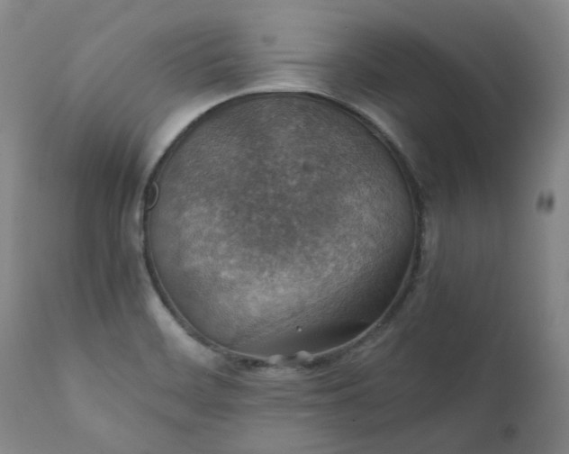 X0000111351468200907241147