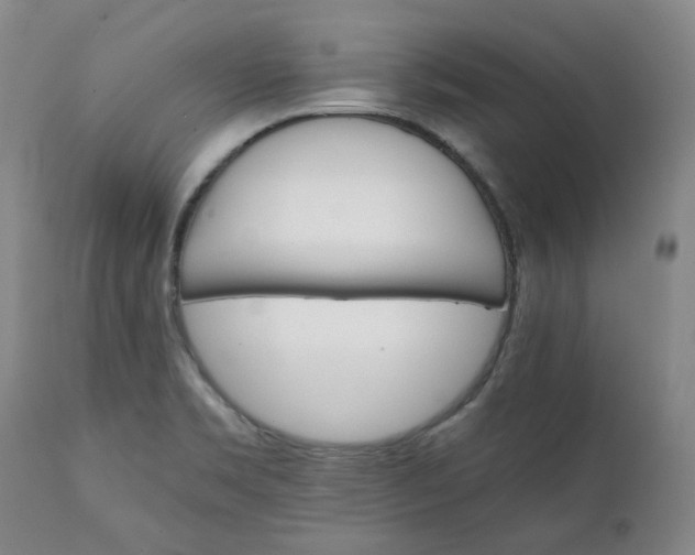 X0000111351469200907241147