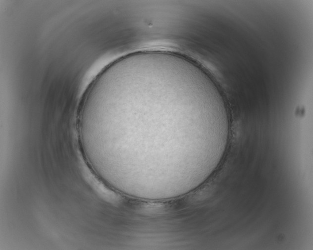 X0000111351470200907241147