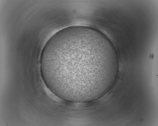 X0000111351471200907241147