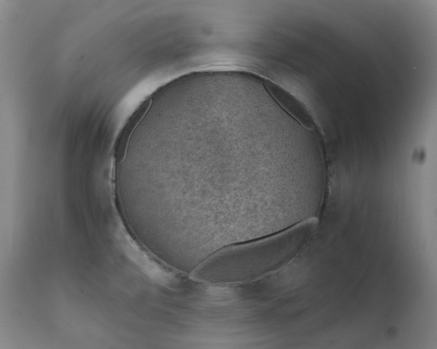 X0000111351472200907241147