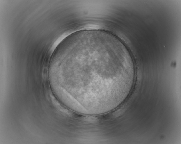 X0000111351473200907241147