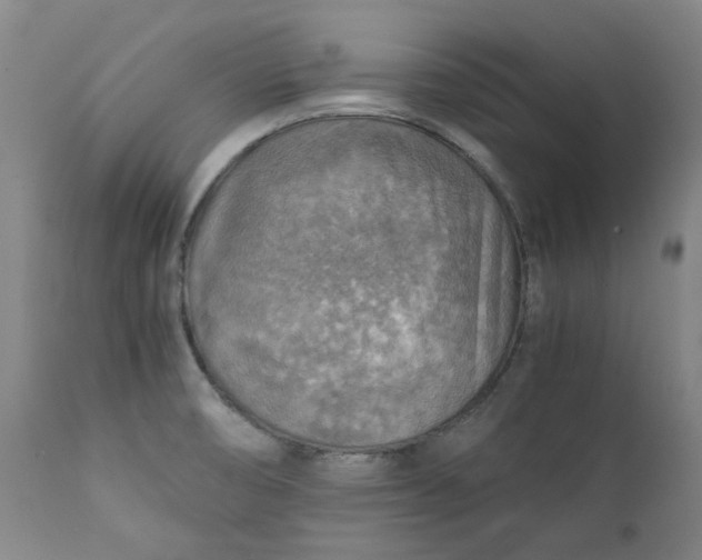 X0000111351474200907241146