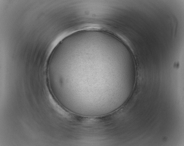 X0000111351475200907241146