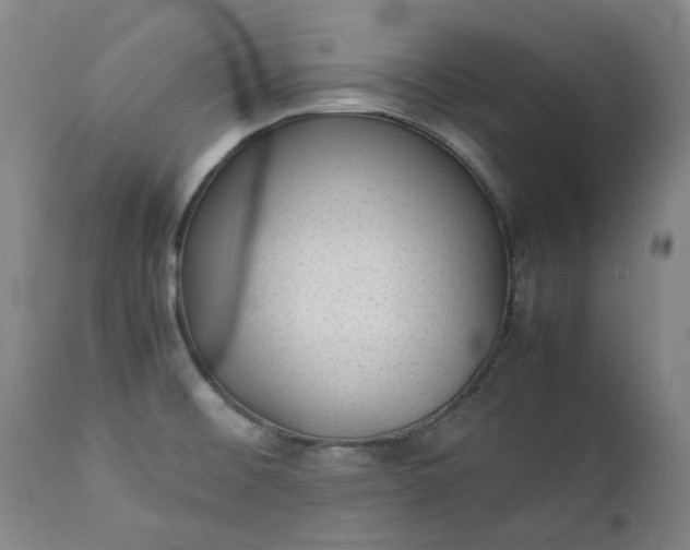 X0000111351476200907241146