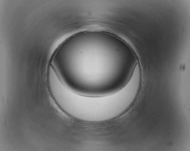 X0000111351477200907241146