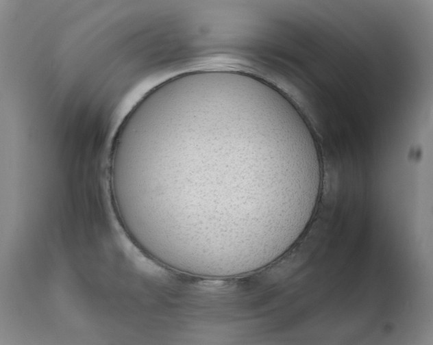 X0000111351478200907241146