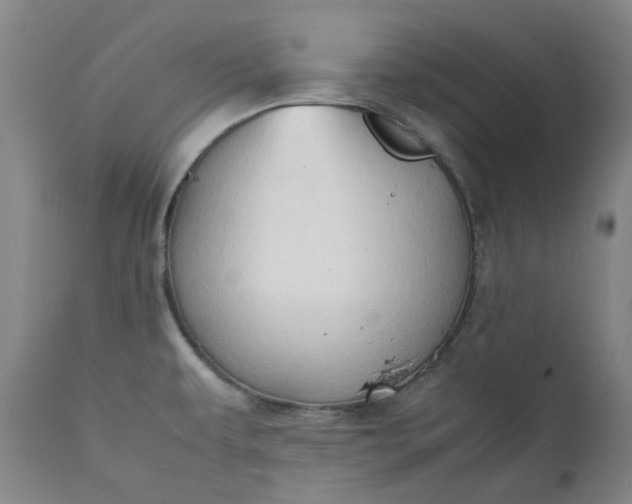 X0000111351479200907241146