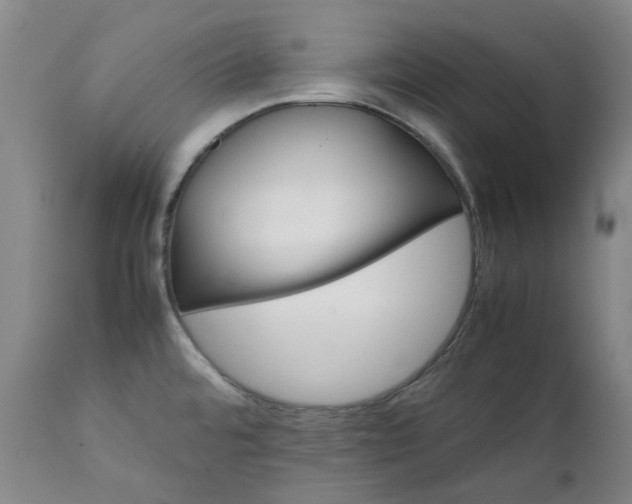 X0000111351480200907241146