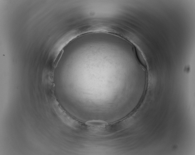 X0000111351481200907241146