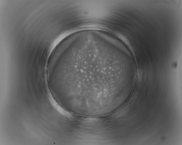 X0000111351482200907241146