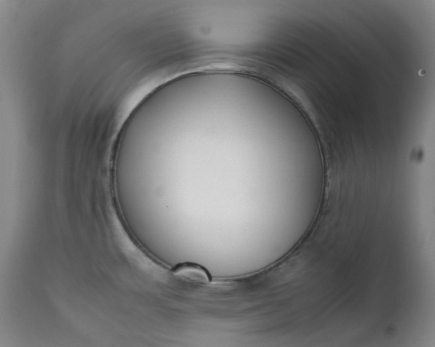 X0000111351483200907241146