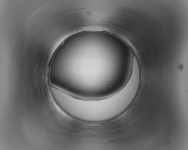 X0000111351484200907241146