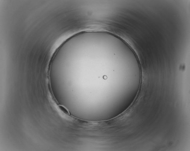 X0000111351485200907241146