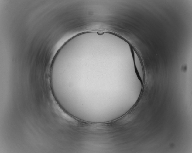 X0000111351486200907241146