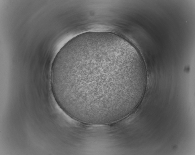 X0000111351487200907241146