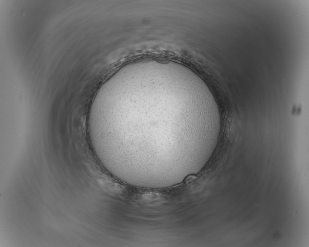 X0000111351489200907241146