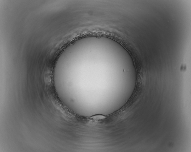 X0000111351490200907241146