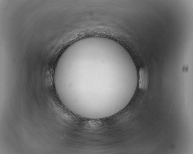 X0000111351491200907241146