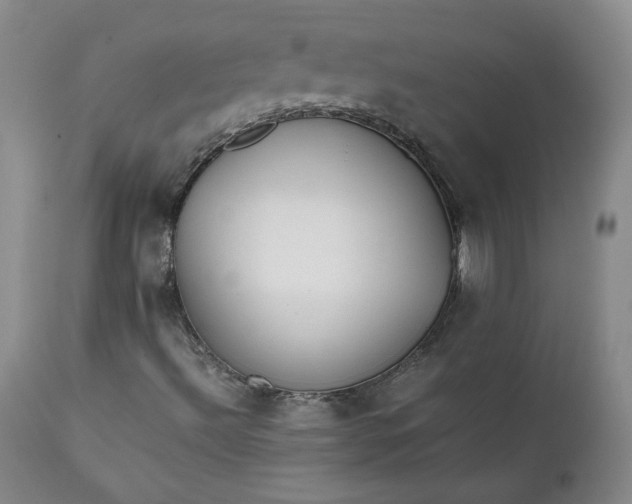 X0000111351492200907241146