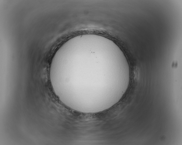 X0000111351493200907241146