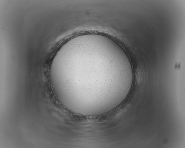 X0000111351494200907241146