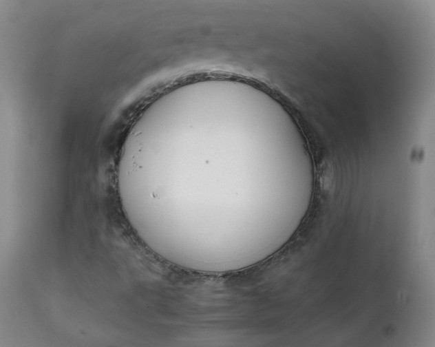 X0000111351495200907241146