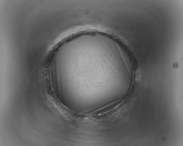 X0000111351496200907241146