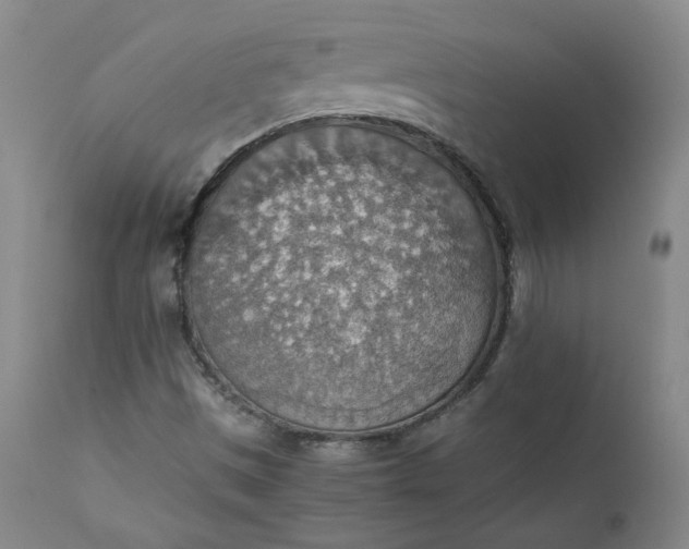 X0000111351497200907241146