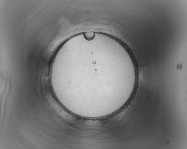 X0000111351498200907241146