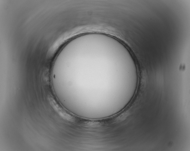 X0000111351499200907241146