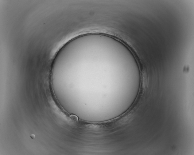 X0000111351500200907241146