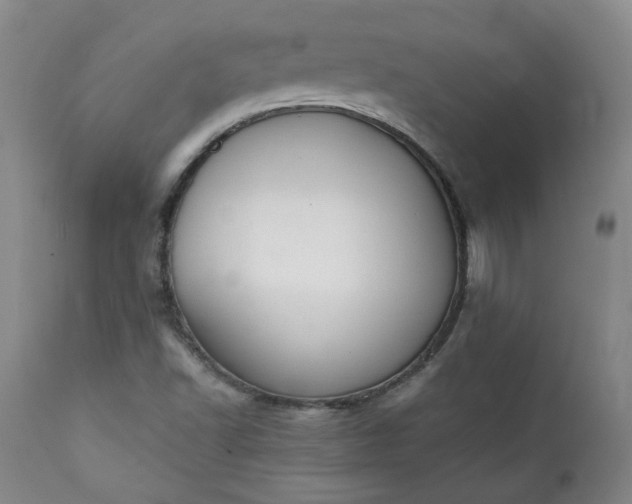 X0000111351502200907241146