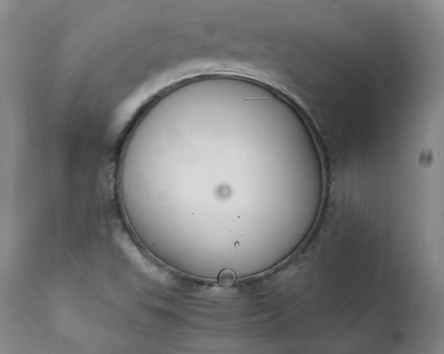 X0000111351503200907241146